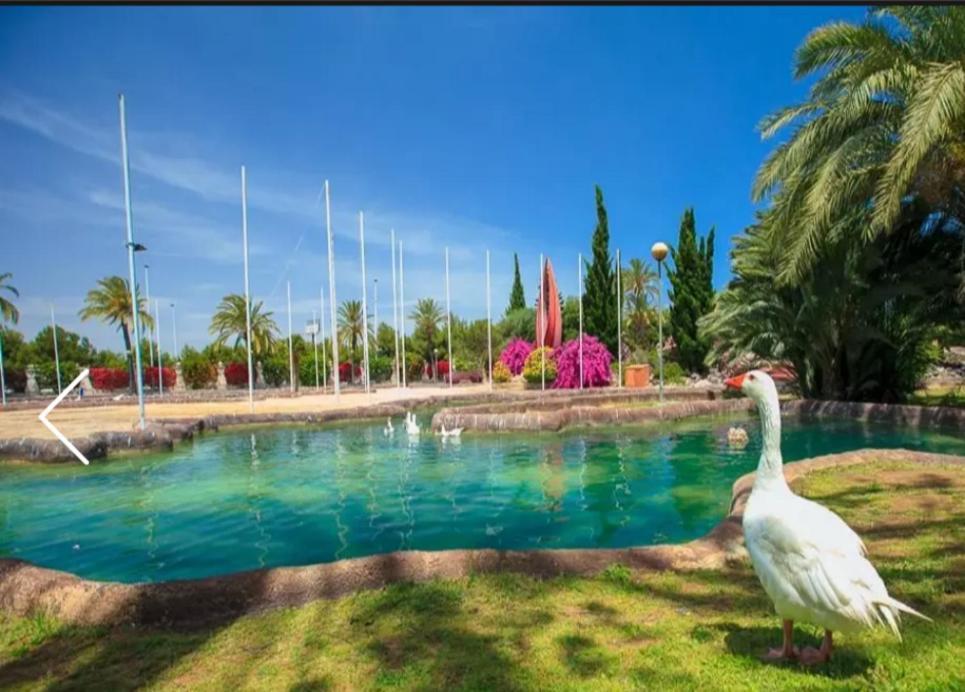 Beach Apartment تورّيفيِخا المظهر الخارجي الصورة